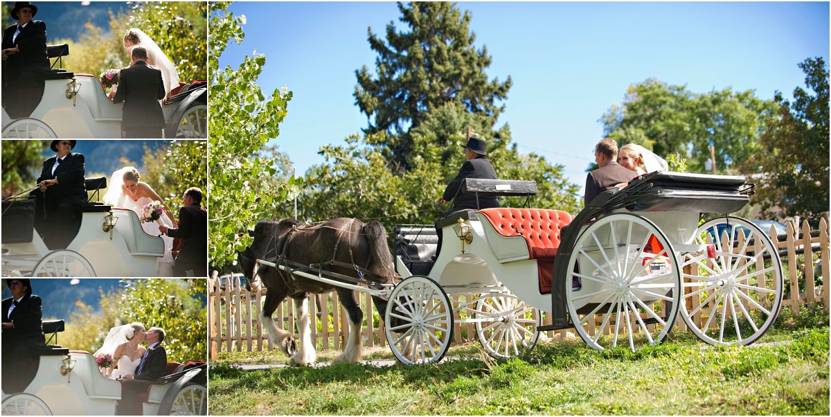 colorado natives wedding, horse and carriage, ceremony recessional, clear creek history park, golden colorado, wedding photographer, colorado wedding planner