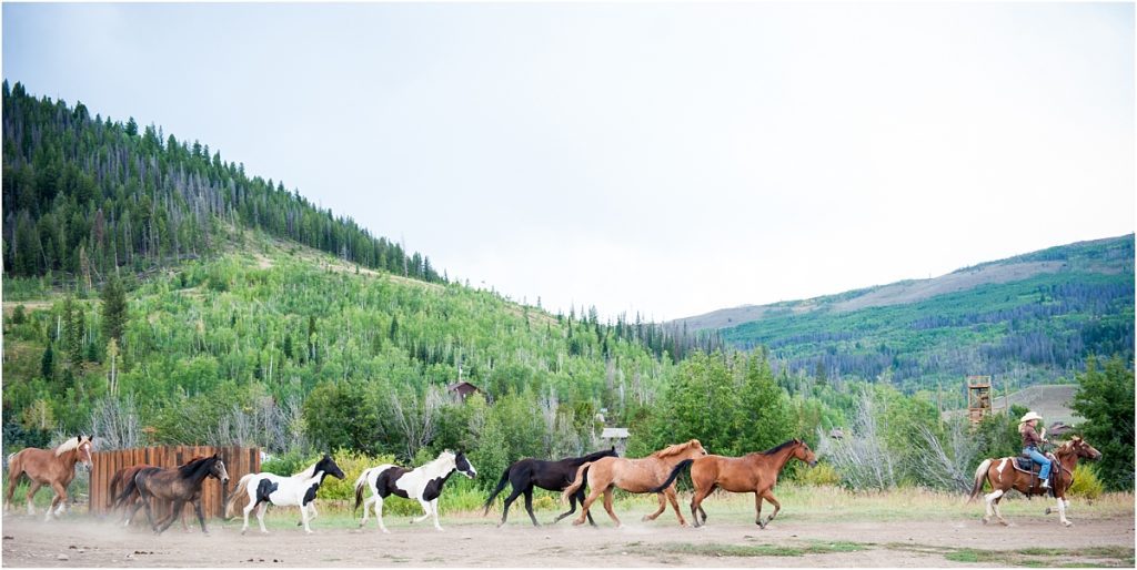 horses running,C Lazy U Ranch, Granby, Colorado, Rustic Ranch Wedding, Colorado Wedding Planner, Mountain Wedding Photographer