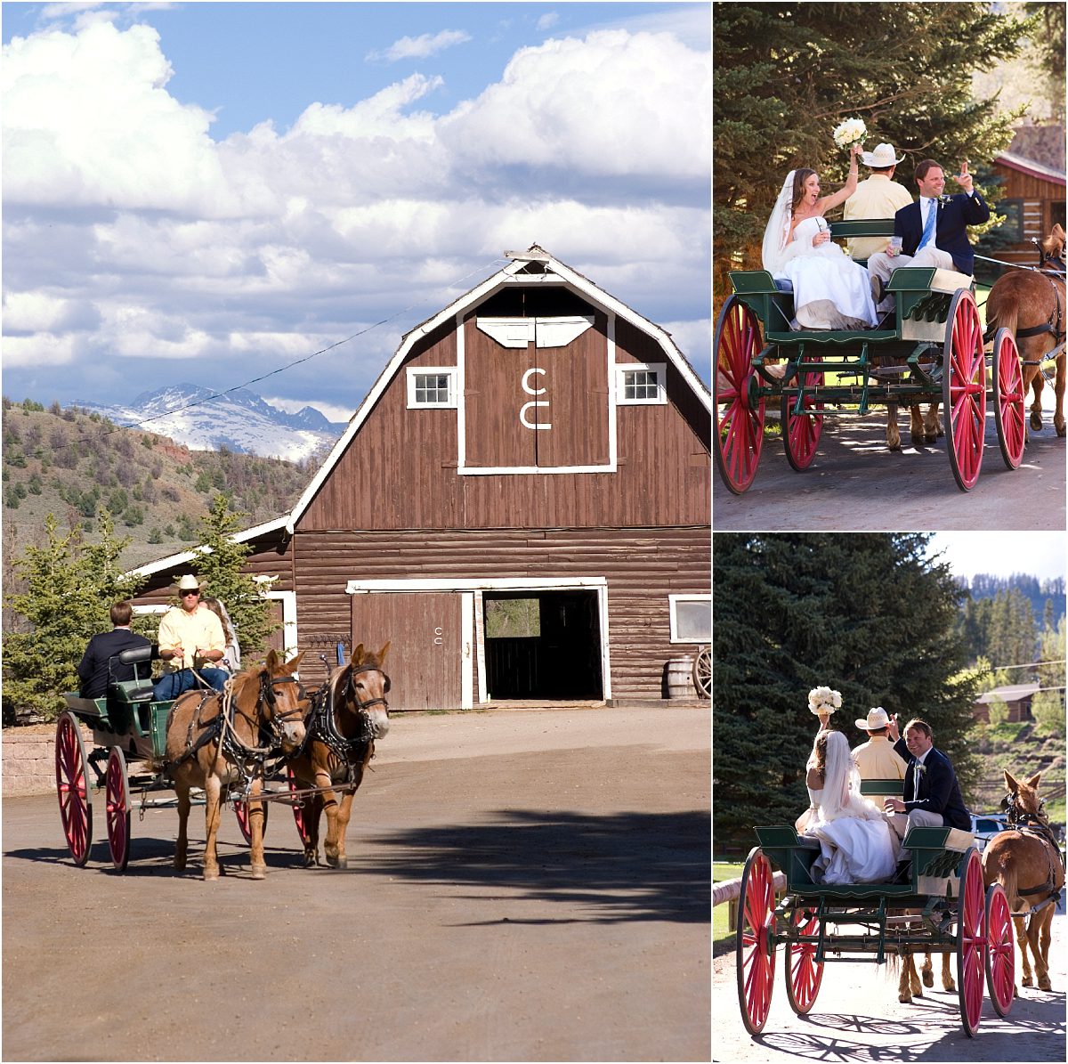 horse and carriage, bride and groom riding on carriage to reception,C Lazy U Ranch, Granby, Colorado Wedding Photography, Mountain Wedding Photographer, old western theme
