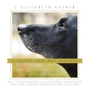 Black Lab, Senior Dog, Pet Portrait Sessions